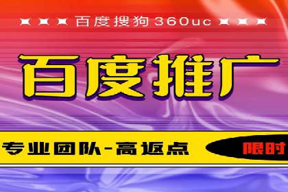 百度推广优化策略：成功案例解析